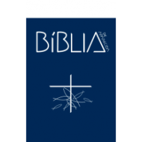 Bíblia de Aparecida - Bolso cristal

