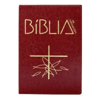 Bíblia de Aparecida - Letra Grande - Marrom
