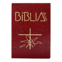 Bíblia de Aparecida - Média zíper marrom
