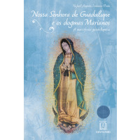 Nossa Senhora de Guadalupe e os Dogmas Marianos
